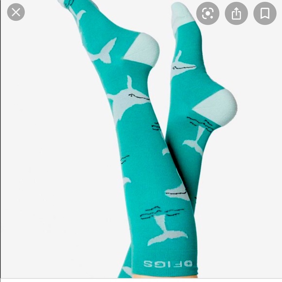 Figs Accessories - New Figs Save the Whales Compression socks